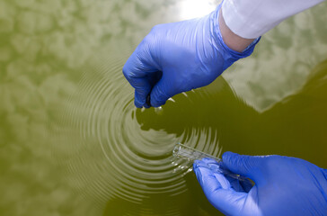 Water sample. Checking the condition of rivers or natural lakes. Water test for chemicals,...