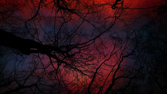Nightmare Landscape Of Dead Trees With Red Stormy Sky