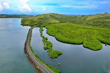 Mangroves on the main island of Palau