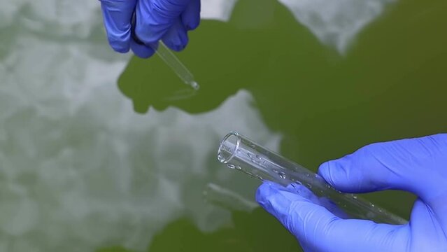 Water sample. Treatment facilities. Quality control of water that has been purified and processed. The laboratory assistant collects material for research. Liquid in a test tube. Sewage treatment