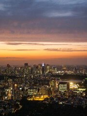 Tokyo Skyline in the night