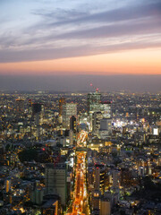 Tokyo Skyline in the night