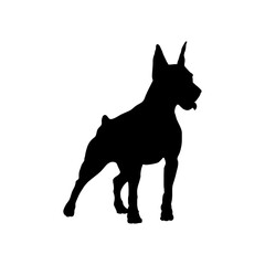 doberman Silhouette Dog