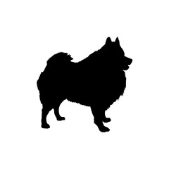 Pomeranian Spitz Silhouette Dog