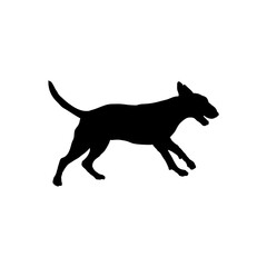 bull terrier runs  Silhouette Dog