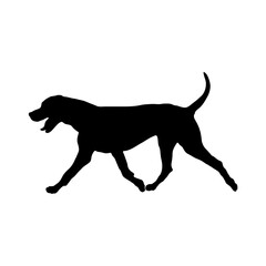 dog is running Silhouette Dog