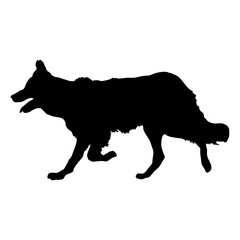  german shepherd runs  Silhouette Dog