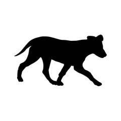  puppy Silhouette Dog