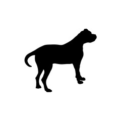 pit bull Silhouette Dog
