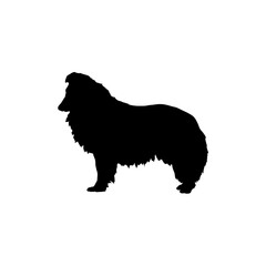 Obraz na płótnie Canvas collie Silhouette Dog