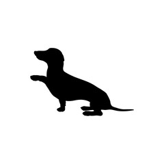 dachshund sitting Silhouette Dog