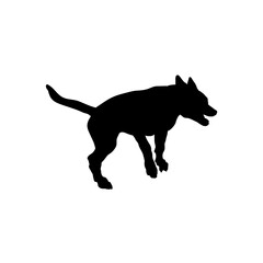 dog jumps  Silhouette Dog