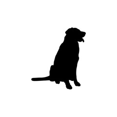  labrador is sitting Silhouette Dog