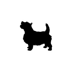  Norwich Terrier  Silhouette Dog