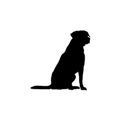  labrador is sitting Silhouette Dog