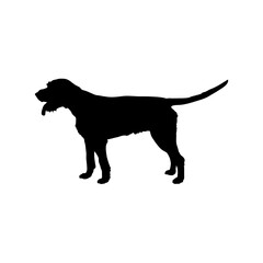 Pointer Silhouette Dog