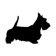 Scotch terrier Silhouette Dog