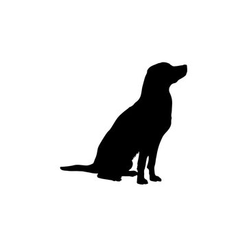  Labrador  Silhouette Dog