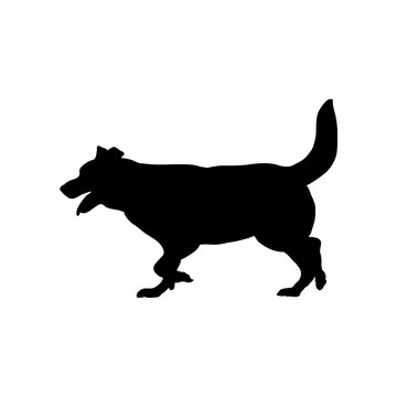  dog is running Silhouette Dog