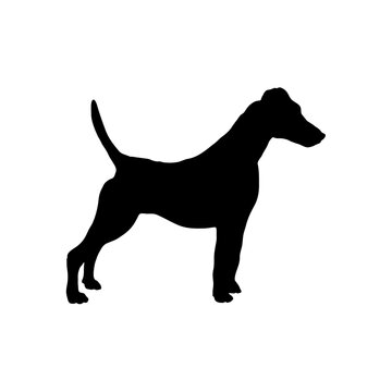 Jack Russell Terrier Silhouette Dog