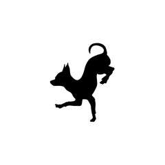 English toy terrier on two legs Silhouette Dog