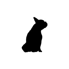 Obraz premium french bulldog sits Silhouette Dog