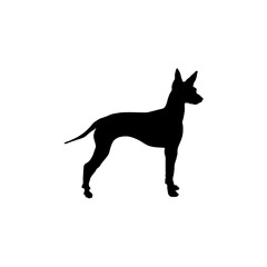 English toy terrier Silhouette Dog