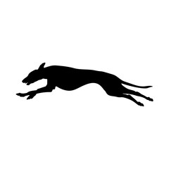 greyhound is running Silhouette Dog