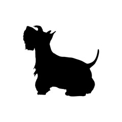 Scotch terrier Silhouette Dog