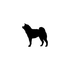  Akita