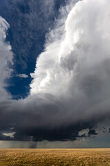 Fototapeta na wymiar Dramatic thunderstorm cumulonimbus cloud over a wheat field in Kansas