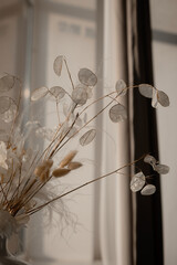 Composition of dried flowers in a vase on the window. Lunaria, lagurus, feather grass