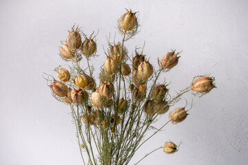 Dried flower bouquet isolated on grey