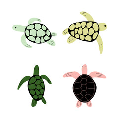 Turtle Character sea animal on deep background. Wild life illustration. Underwear world. Vector illustration.