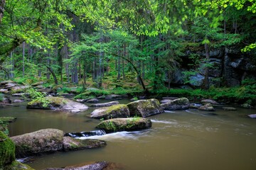 Beautiful view of Waldnab river flowing in the forest in Germany