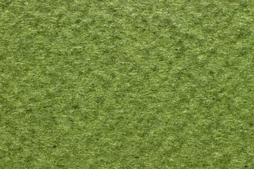 Fototapeta na wymiar Green textured blank paper background close up