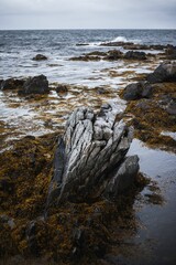 Fototapeta na wymiar Vertical shot of the mossy rocks at the shore of the ocean