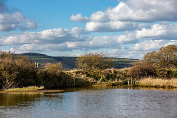 Fototapeta na wymiar Looking out over the Cuckmere River in Sussex, on a sunny March day