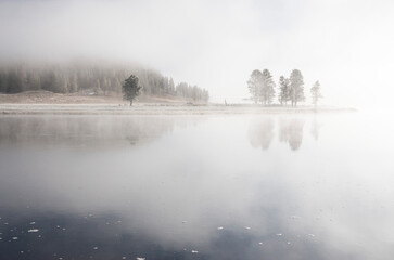 foggy morning over the Yellowstone river, Hayden Valley, Yellowstone National Park, Wyoming, US