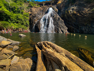 Lower half of Dudhsagar Falls