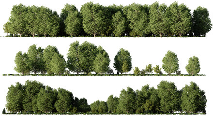 forest landscapes, collection of forestscapes with green trees, shrubs and empty space, isolated on transparent background 