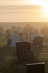 Vertical shot of cemetery tombstone graves at sunrise