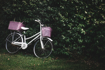 Fototapeta na wymiar bici blanca retro con cestos en un jardín