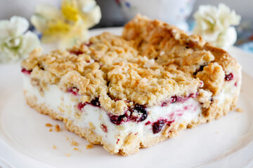 Homemade fruit cake with blueberries and red currant.