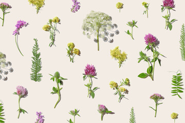 Minimal flat lay Botanical pattern with wild field  blooming flowers, Natural summer floral minimal creative layout from meadow blooms with shadow on pastel beige background, top view nature flat aly