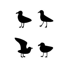 Seagull. Black silhouette. Atlantic seabird. Marine Animal Vector illustration on white background.