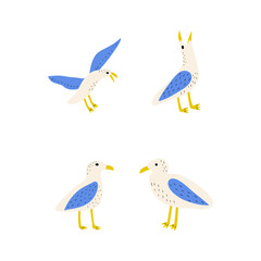 Seagull. Atlantic seabird. Marine Animal Vector illustration on white background.