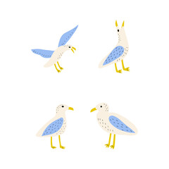Seagull. Atlantic seabird. Marine Animal Vector illustration on white background.