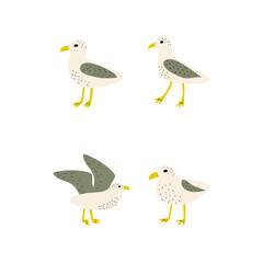 Seagull. Atlantic seabird. Marine Animal Vector illustration on white background.