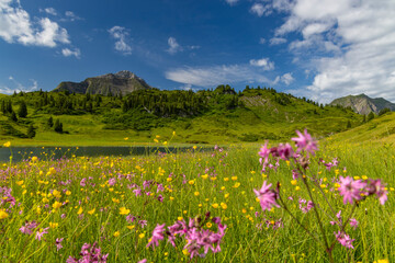 Fototapeta na wymiar Landscapes near Kalbelesee, Hochtann Mountain Pass, Warth, Vorarlberg, Austria